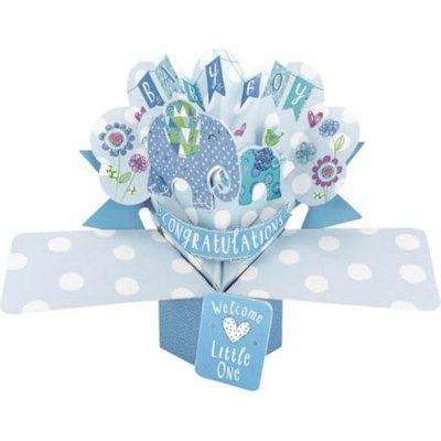 Second Nature 3D Baby Boy Pop-Up Greeting Card for $10 + free shipping w/ Prime