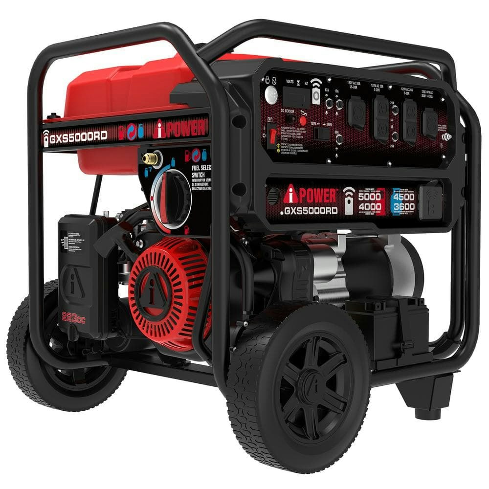 4,000-Watt Dual Fuel Portable Generator with Remote Start: $504.05 4,000-Watt Dual Fuel Portable Generator with Remote Start: $504.05