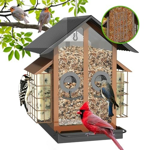 Flowafoli 4lb Metal Suet and Seed Bird Feeder: $27.99 Flowafoli 4lb Metal Suet and Seed Bird Feeder: $27.99