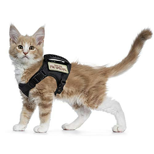 Tactical Cat Harness: $23.89 Tactical Cat Harness: $23.89