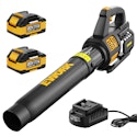 EWORK 20V 550CFM Cordless Leaf Blower w/ 2 Batteries & Fast Charger for $40 + free shipping