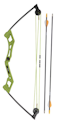 Bear Archery Apprentice Youth Bow Set for $8 + free shipping w/ $35