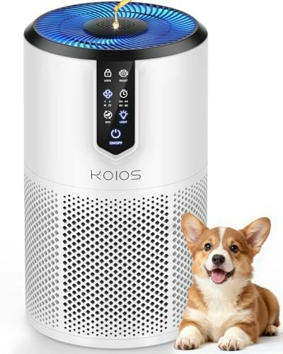 Koios 1,300-Square-Foot HEPA Air Purifier: $49.87