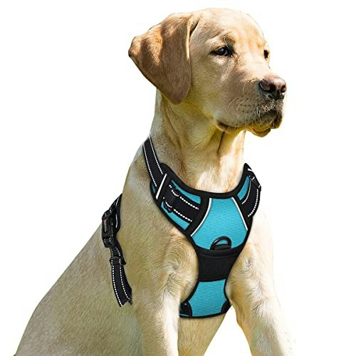 Barkbay No-Pull Dog Harness: $27.99 Barkbay No-Pull Dog Harness: $27.99