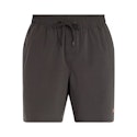 Ozark Trail Men's Swim Trunks for Under $3 + free shipping w/ $35