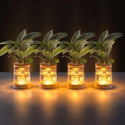 Everkeen Plant Propagation Station 4-Pack: $33.99 Everkeen Plant Propagation Station 4-Pack: $33.99