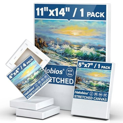 Halobios Stretched Painting Canvases 6-Pack: $6.16 Halobios Stretched Painting Canvases 6-Pack: $6.16