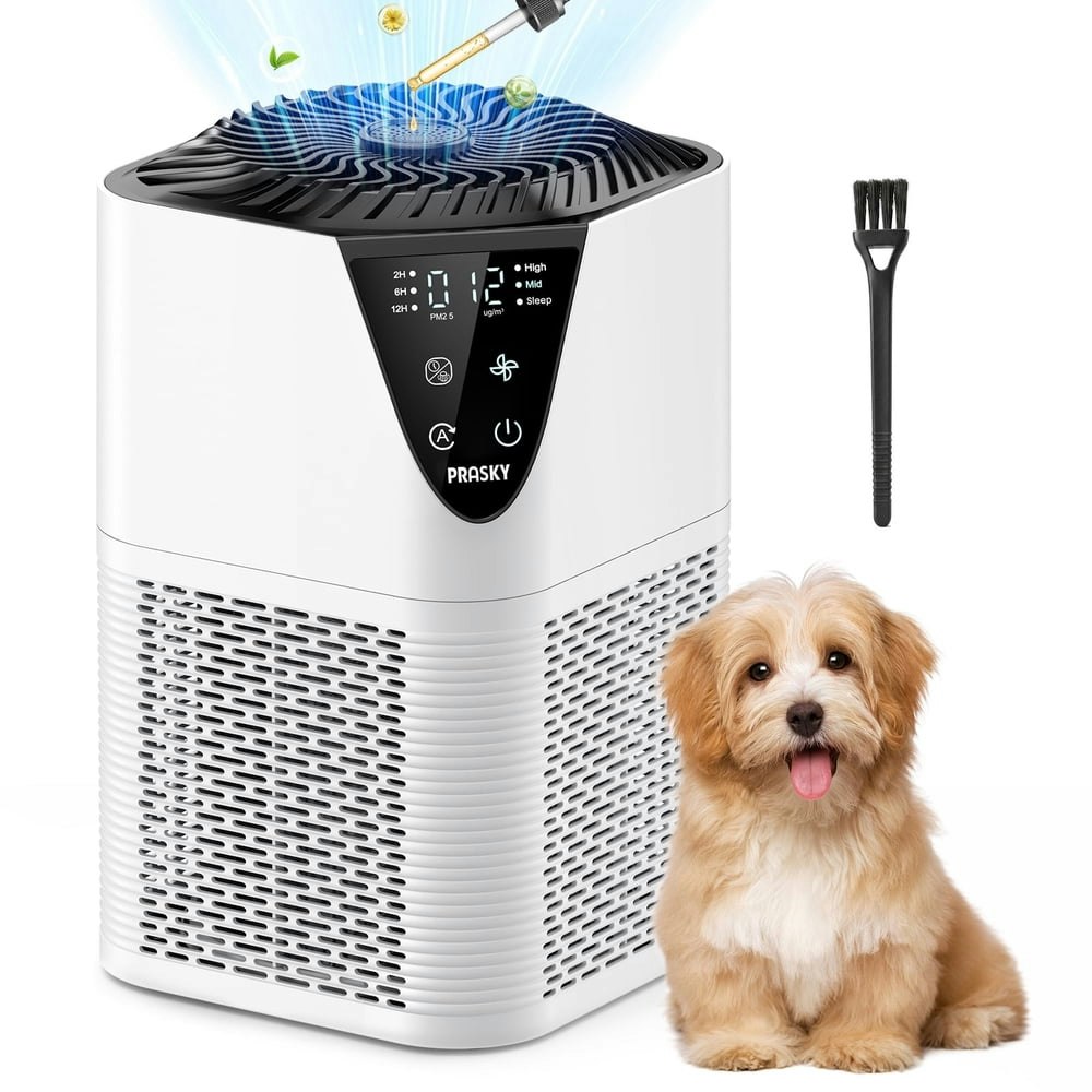 Prasky 1,076-Square-Foot True HEPA Air Purifier: $35.99 Prasky 1,076-Square-Foot True HEPA Air Purifier: $35.99