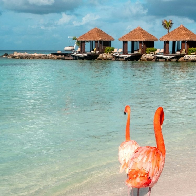 Oceania Cruises 14-Night Caribbean Cruise: From $9,750 for 2 Oceania Cruises 14-Night Caribbean Cruise: From $9,750 for 2