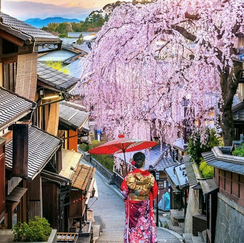 11-Night Japan Flight, Hotel, and Tour Vacation for From $7,334 for 2