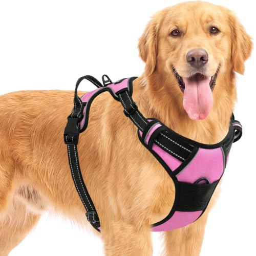 Barkbay No-Pull Dog Harness: $27.99