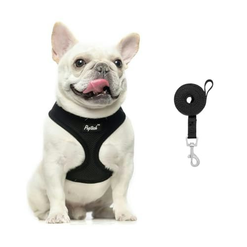 Pupteck Small Dog Harness and Leash Set: $6.79