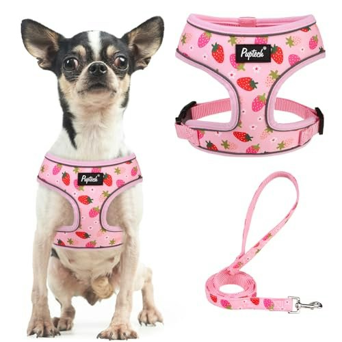 Pupteck Small Dog Harness and Leash Set: $13 Pupteck Small Dog Harness and Leash Set: $13