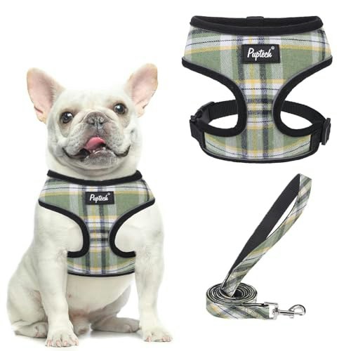Pupteck Small Dog Harness and Leash Set: $12.74