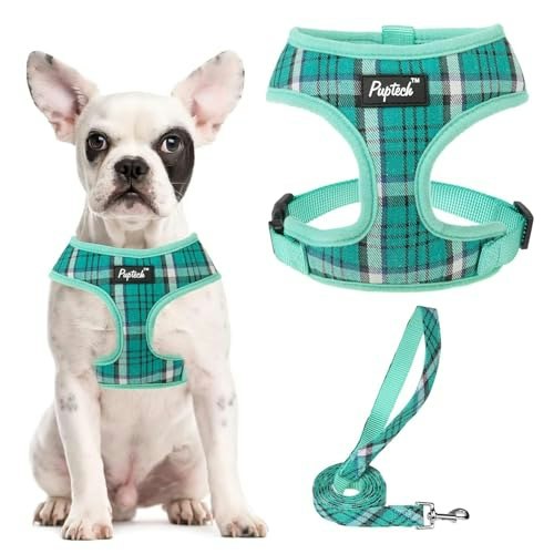 Pupteck Small Dog Harness and Leash Set: $14.44