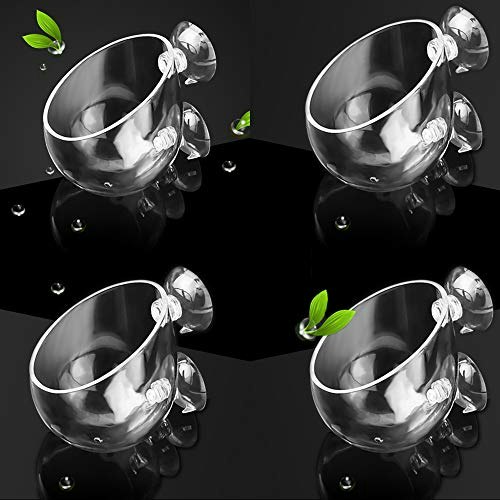 Capetsma Crystal Glass Aquarium Plant Pot 4-Pack: $29.99