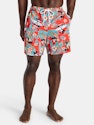 Disney Men's Mickey Beach Swim Trunks for $5 + free shipping w/ $35