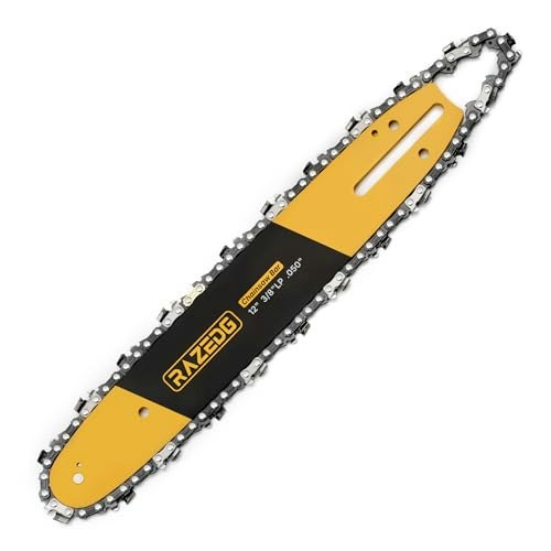 RazEdg 12-Inch Chainsaw Bar and Carbide Chain Combo: $33.14 RazEdg 12-Inch Chainsaw Bar and Carbide Chain Combo: $33.14