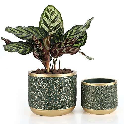 Ten-stone 6-Inch and 4.4-Inch Cement Planter 2-Pack: $27.99