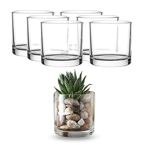 Whole Housewares 4"x4" Glass Cylinder Vase 6-Pack: $65.63 Whole Housewares 4"x4" Glass Cylinder Vase 6-Pack: $65.63