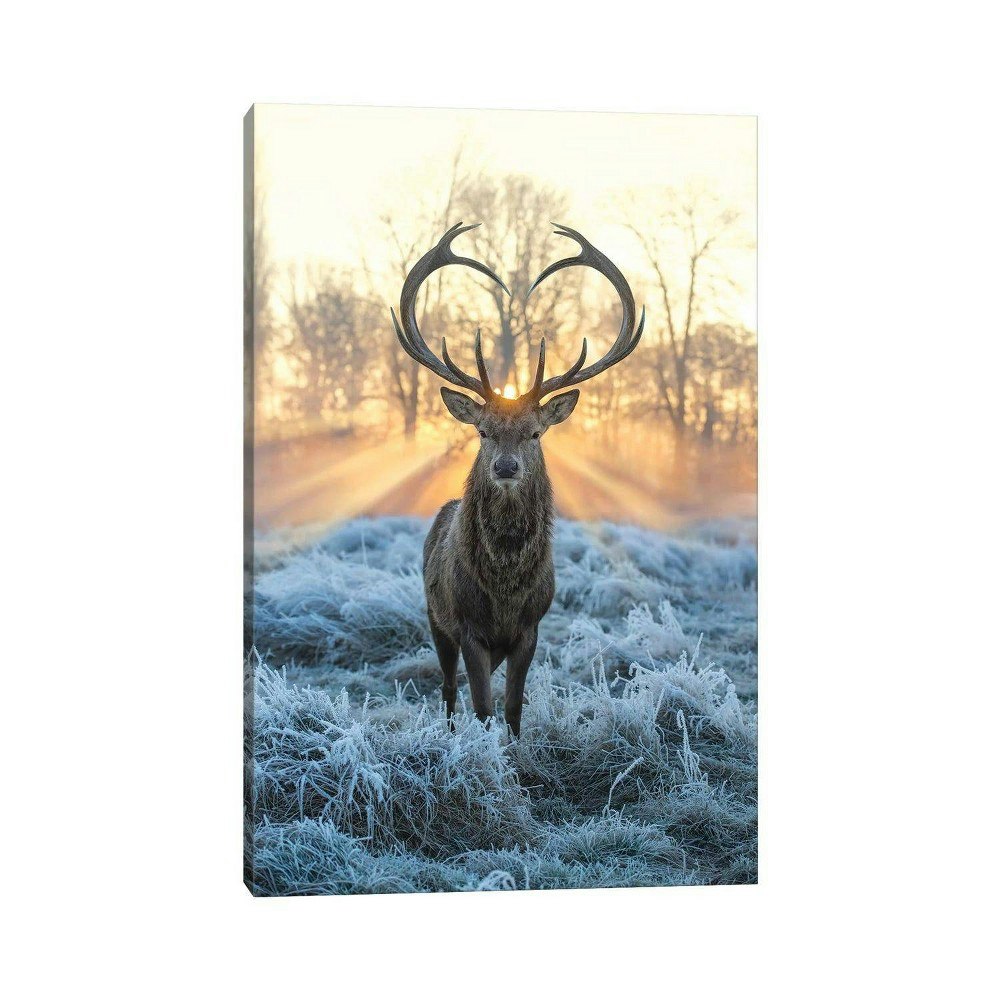 48" x 32" Love You Deer Fire and Ice Wall Canvas by Max Ellis: $201.99 48" x 32" Love You Deer Fire and Ice Wall Canvas by Max Ellis: $201.99
