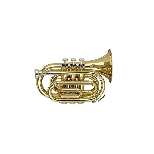Stagg WS-TR245S Pocket Trumpet: $235.01 Stagg WS-TR245S Pocket Trumpet: $235.01