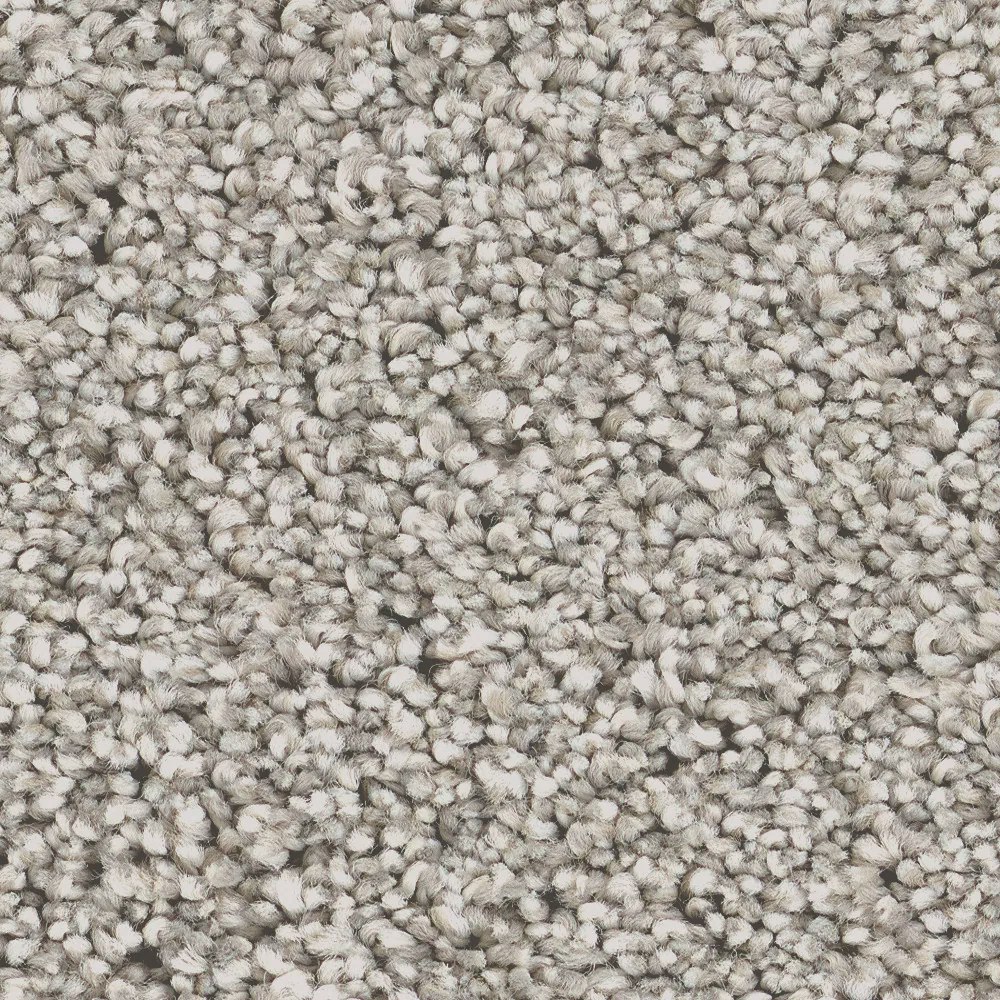 Stainmaster PetProtect Animal Instincts III Textured Indoor Carpet: From $2.92 per sq. ft.