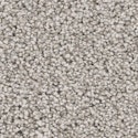 Stainmaster PetProtect Animal Instincts III Textured Indoor Carpet for From $2.92 per sq. ft.