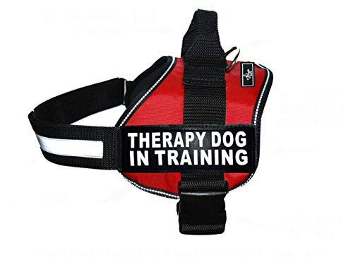 Therapy Dog in Training Nylon Dog Vest Harness 2-Pack: $31.99