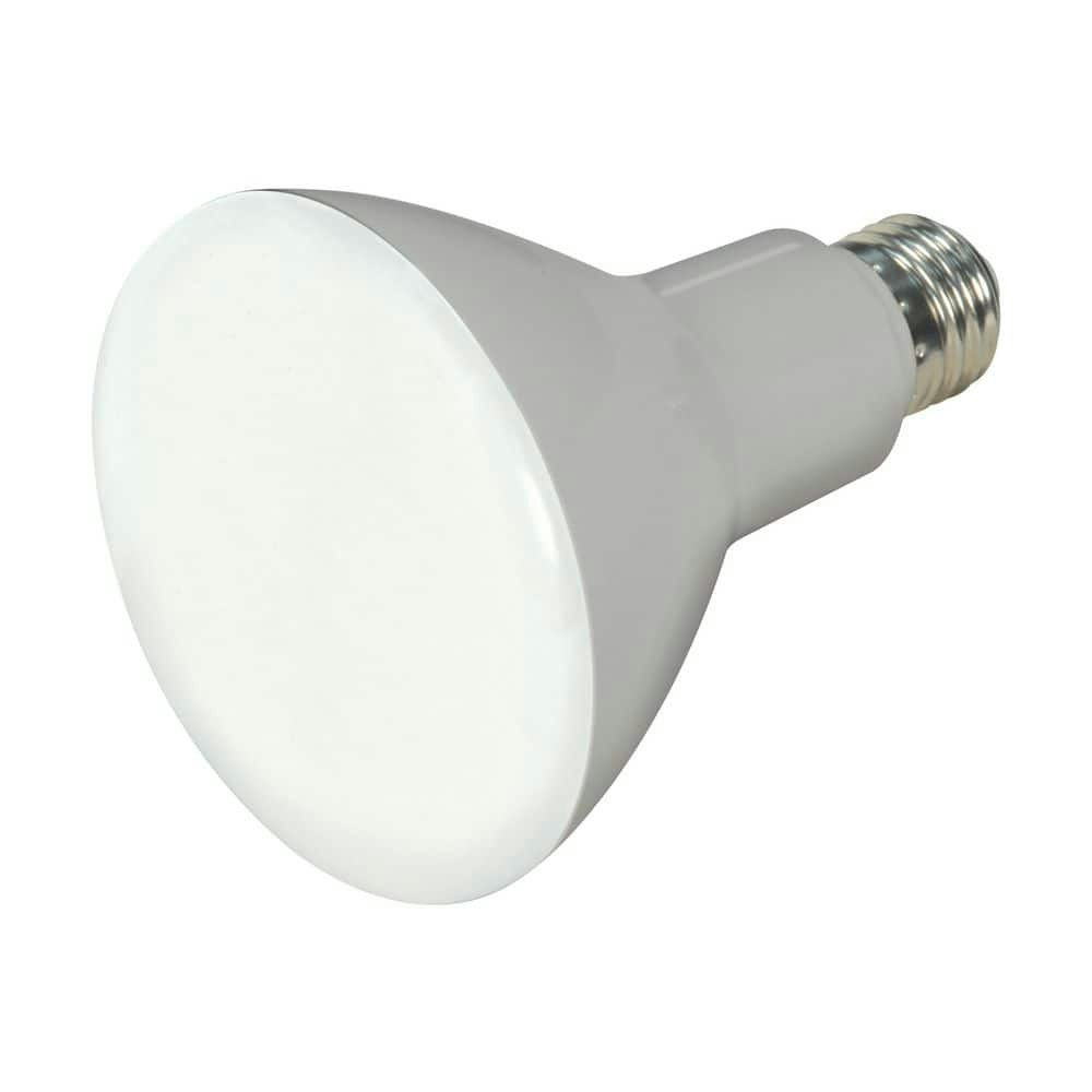 65-Watt Equivalent BR30 Dimmable LED Light Bulb 12-Pack: $155.40 65-Watt Equivalent BR30 Dimmable LED Light Bulb 12-Pack: $155.40