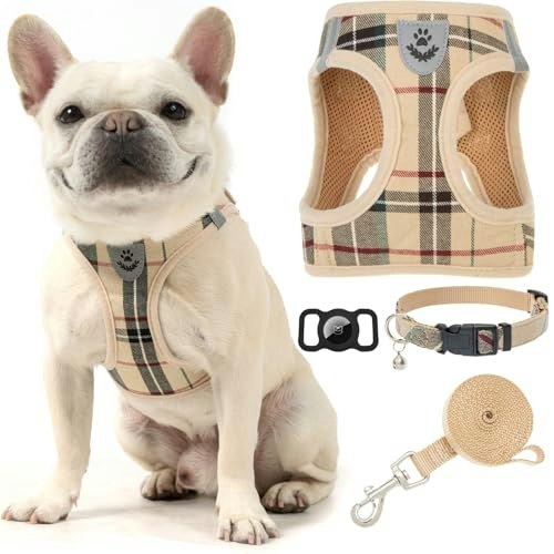 Expawlorer Small Dog Harness and Leash Set with AirTag Holder: $15.99