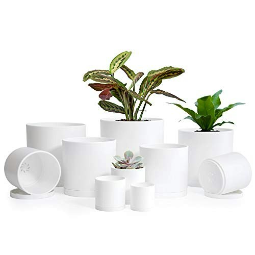 D'vine Dev 10-Pack Plastic Pots with Saucers: $26.99 D'vine Dev 10-Pack Plastic Pots with Saucers: $26.99