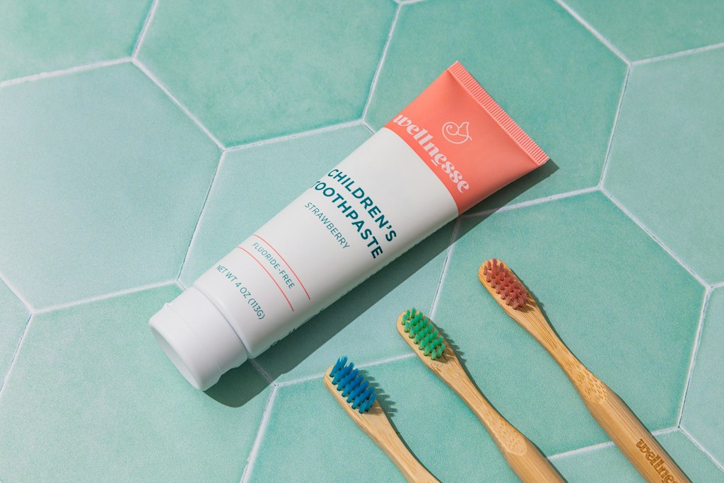 Wellnesse Free Bamboo Toothbrush: Free Wellnesse Free Bamboo Toothbrush: Free