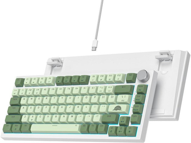 82-Key Hot-Swappable 75% Mechanical Gaming Keyboard: $97.89