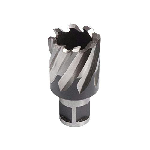 Evolution 23mm x 2-Inch High Speed Steel Annular Cutter: $39.84 Evolution 23mm x 2-Inch High Speed Steel Annular Cutter: $39.84