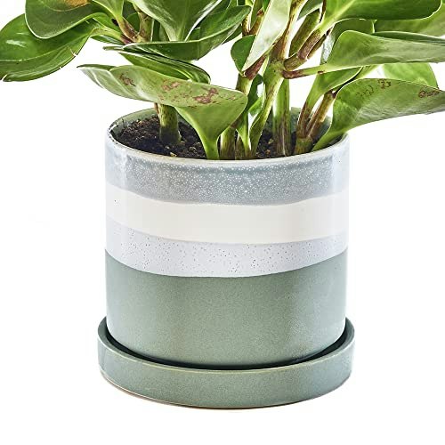Chive Minute 5-Inch Ceramic Planter Pot: $37.61 Chive Minute 5-Inch Ceramic Planter Pot: $37.61