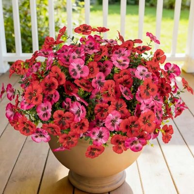 Artificial Pansy Flowers 12-Bundle for $12 + free shipping w/ Prime