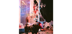 Halloween & Fall Decor at Tractor Supply Co.: Up to 60% off + free shipping w/ $49