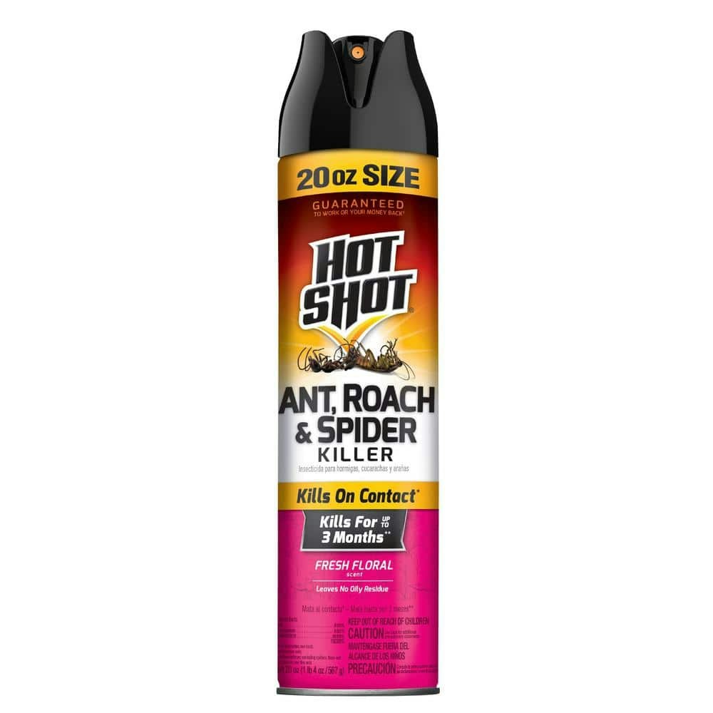 Ant, Roach, and Spider Insect Killer Aerosol Spray 20-oz.: $5.12 Ant, Roach, and Spider Insect Killer Aerosol Spray 20-oz.: $5.12