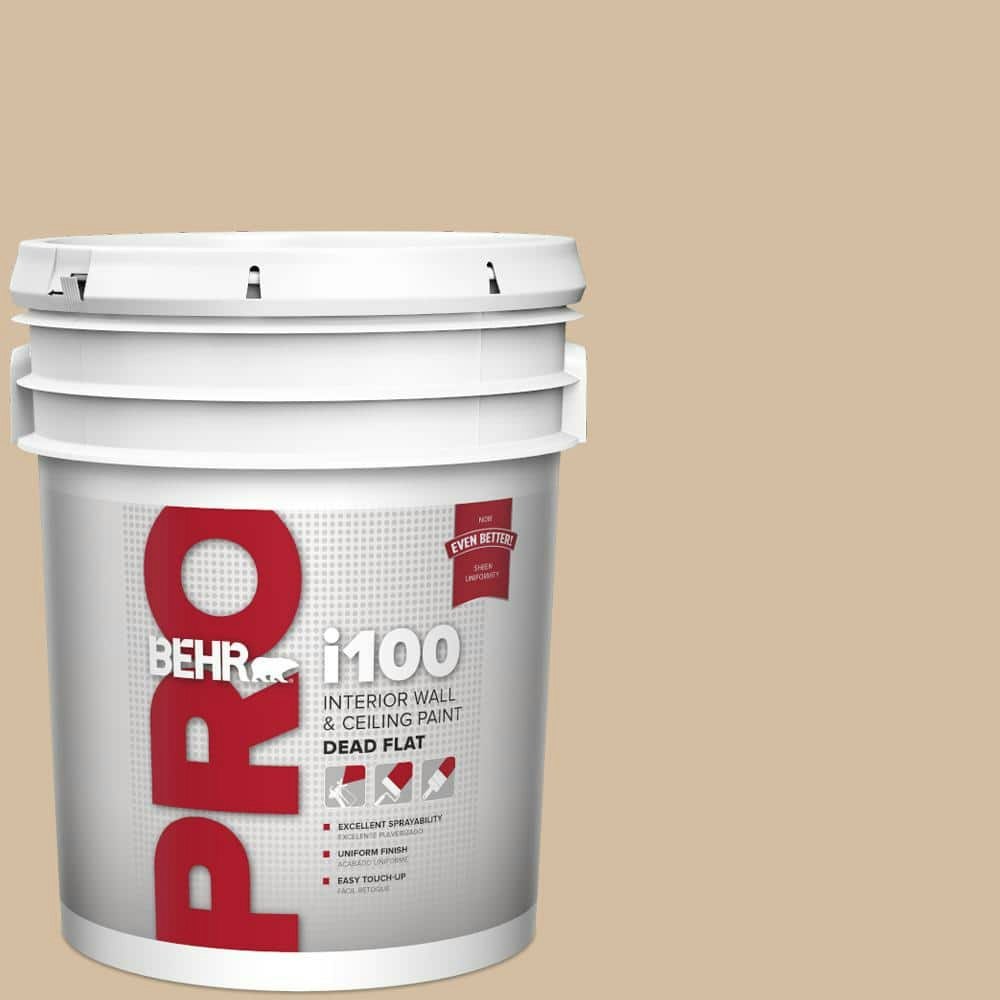 Concept Beige Dead Flat Interior Paint 5-Gallon: $97.98 Concept Beige Dead Flat Interior Paint 5-Gallon: $97.98