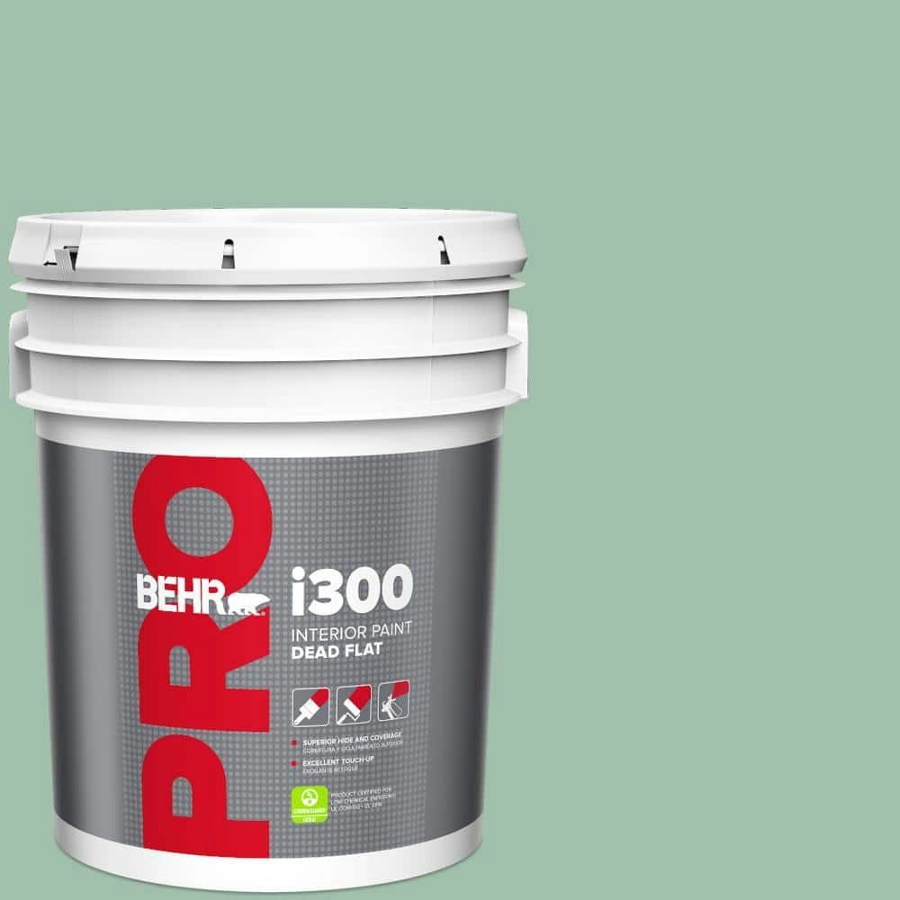 Behr 5-Gallon Spring Reflection Dead Flat Interior Paint: $105 Behr 5-Gallon Spring Reflection Dead Flat Interior Paint: $105