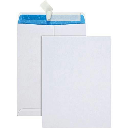Quality Park 9" x 12" Security Redi-Strip Envelopes 100-Pack: $30.75 Quality Park 9" x 12" Security Redi-Strip Envelopes 100-Pack: $30.75