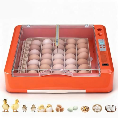 Vevor 36-Egg Automatic Incubator: $45.99 Vevor 36-Egg Automatic Incubator: $45.99