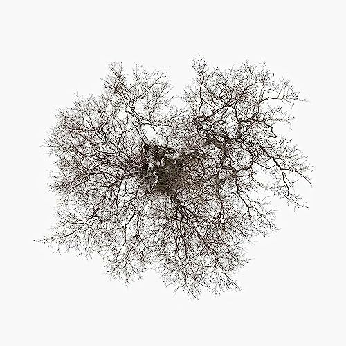 Tree: $18.41 Tree: $18.41