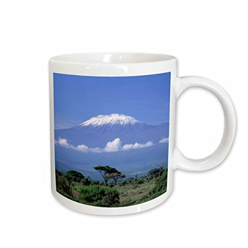 3dRose 15oz Tanzania Landscape and Zebra Mug: $8.98 3dRose 15oz Tanzania Landscape and Zebra Mug: $8.98