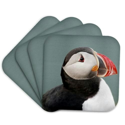 3dRose Puffin Set of 4 Coasters: $18.46 3dRose Puffin Set of 4 Coasters: $18.46