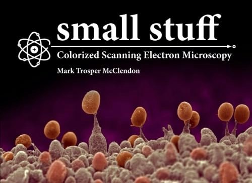 Small Stuff: Colorized Scanning Electron Microscopy: $13.20 Small Stuff: Colorized Scanning Electron Microscopy: $13.20