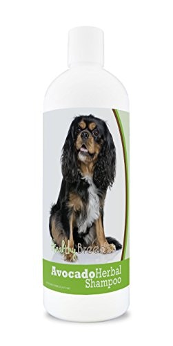 Healthy Breeds Cavalier King Charles Spaniel Avocado Herbal Dog Shampoo 16-oz.: $16.99 Healthy Breeds Cavalier King Charles Spaniel Avocado Herbal Dog Shampoo 16-oz.: $16.99