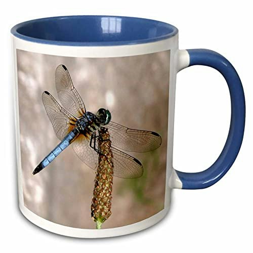 3dRose Beverly Turner Pretty Dragonfly 11-ounce Two-Tone Mug: $13.46 3dRose Beverly Turner Pretty Dragonfly 11-ounce Two-Tone Mug: $13.46