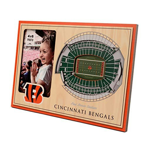 YouTheFan Cincinnati Bengals 3D Stadium Picture Frame: $24.99